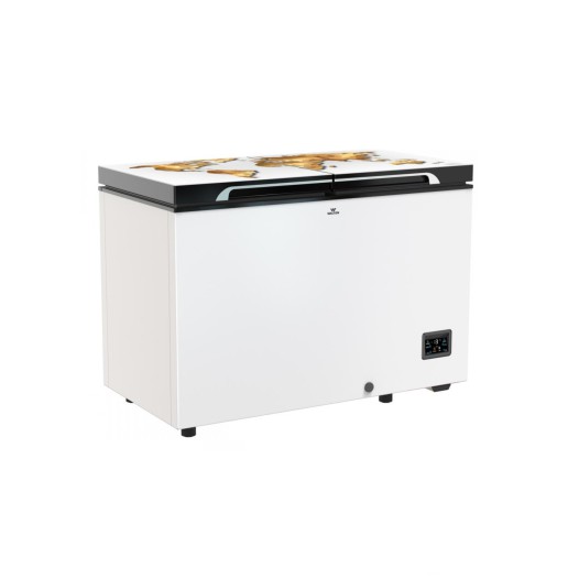 WCG-3J0-GDDB-XX (Inverter) Walton Refrigerator