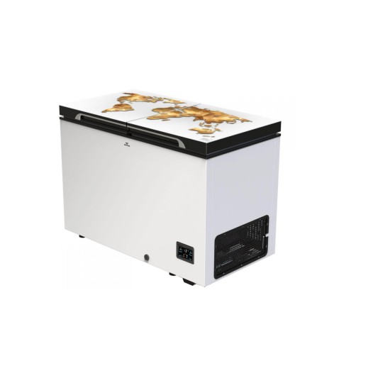 WCG-3J0-GDDB-XX (Inverter) Walton Refrigerator