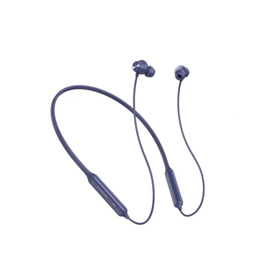 Dizo Wireless Power Neckband