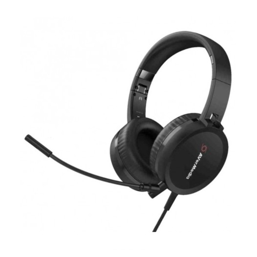 AVerMedia BO317 Camera & Headphone Video Conference Kit