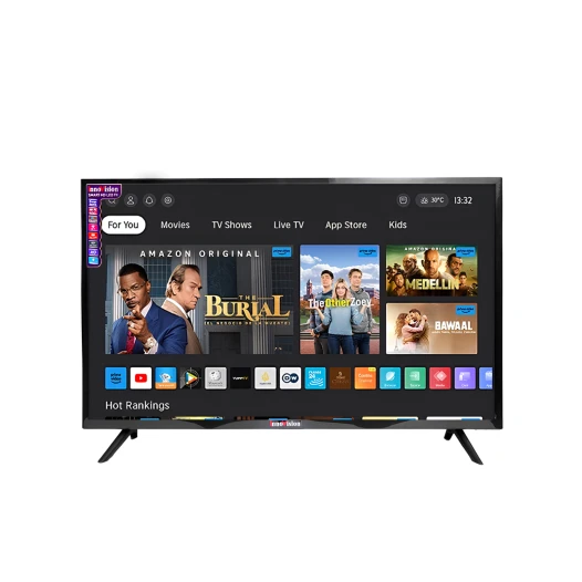 NILT-24″ Smart