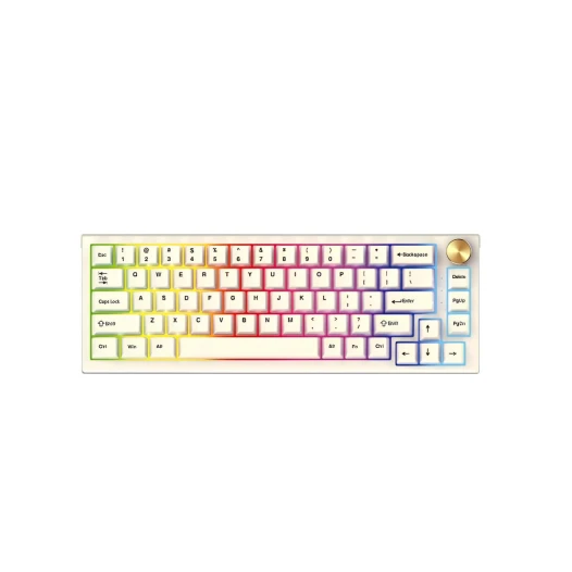Fantech MAXFIT67 MK858 Space Edition RGB Pre-Lubed Gateron Milky Yellow Switch Mechanical Hotswap Keyboard