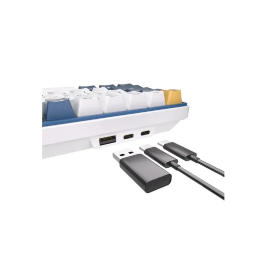 Royal Kludge RK61 Plus Tri Mode RGB 61 Keys Hotswappable Mechanical Sky Cyan Switch Gaming Keyboard